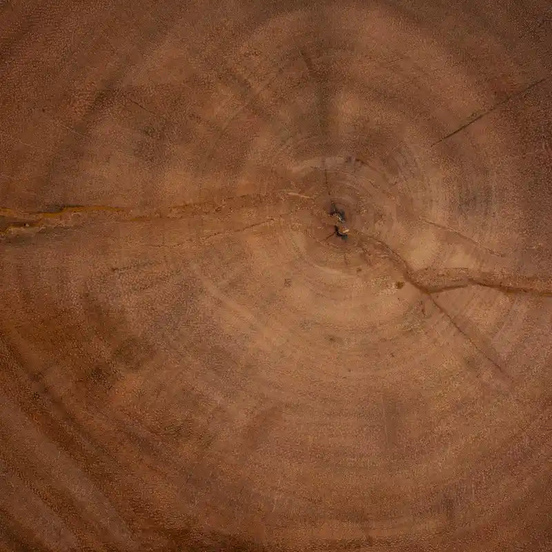 Tavolino laterale scultoreo in legno di suar intagliato a mano, marrone naturale, design traforato